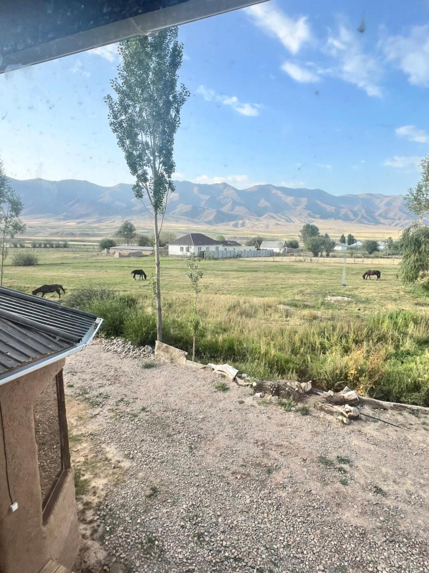 Kyzart Hotel & Horse Tours Bagysh Eksteriør bilde
